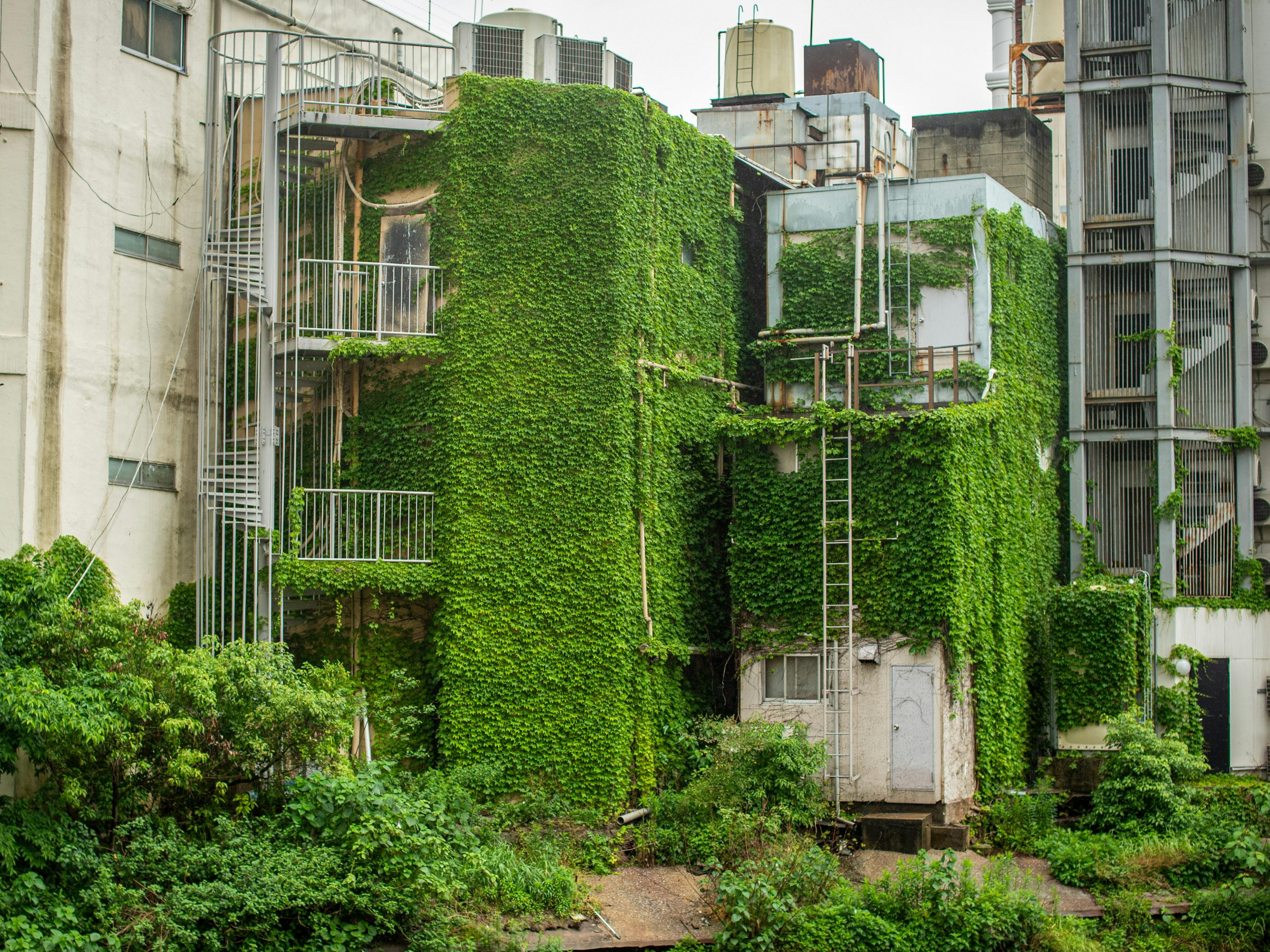 Eco-Friendly Materials