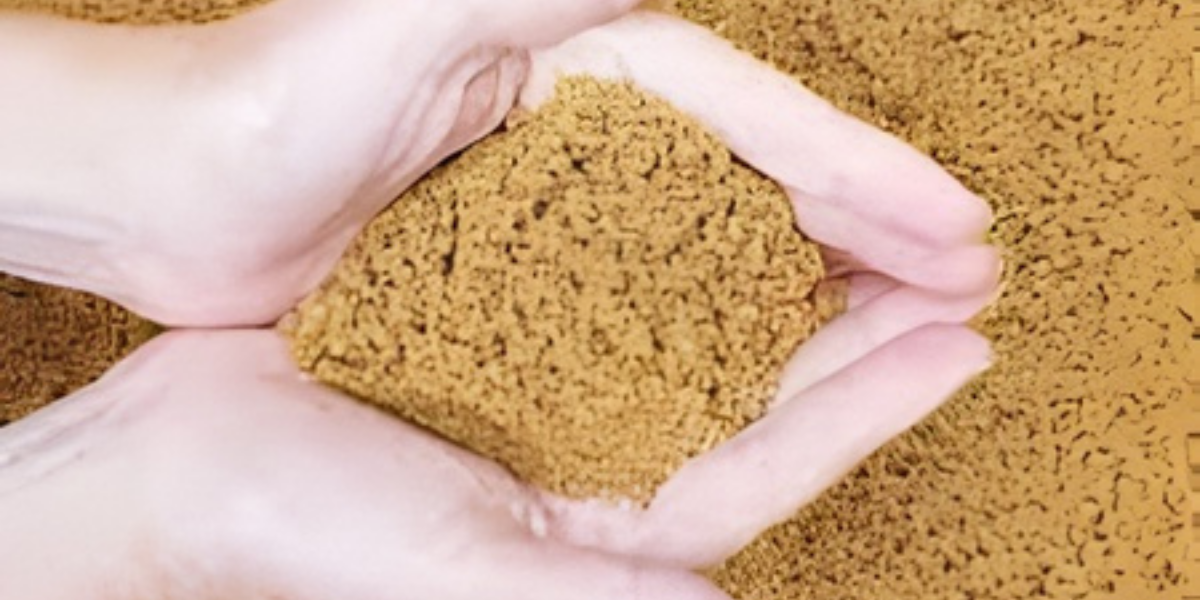 UltraTech Fly Ash Bricks